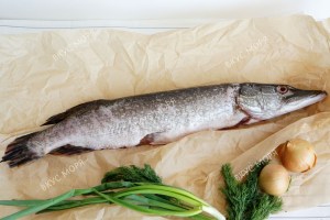 Щука потрошеная с головой мороженая, 1,3 кг